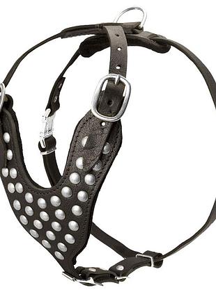 Прогулянкова шлейка з заклепками "lockdog" розміри m m l xl
