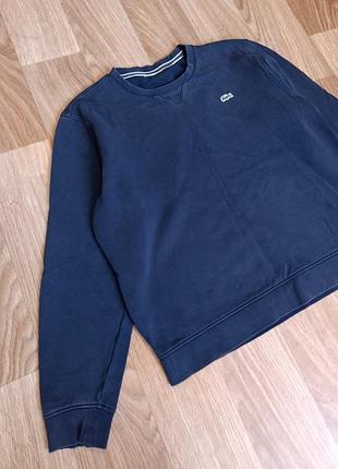 Світшот lacoste 4