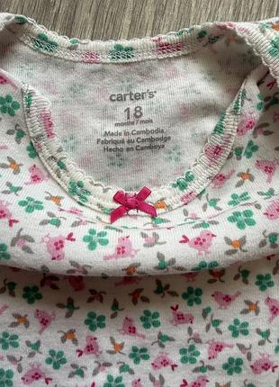 Бодікі carters 4