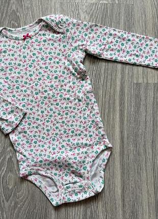 Бодікі carters 2