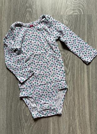 Бодікі carters 3