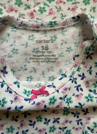 Бодікі carters 5