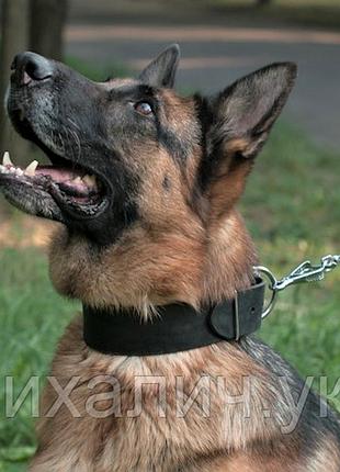 Нашийник з натуральної шкіри для собак, lockdog, чорний, 30-62 см. m/l/xl