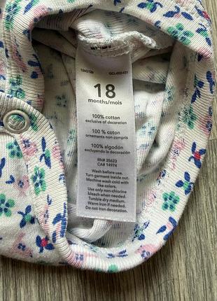 Бодікі carters 6