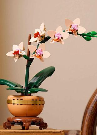 Конструктор игровой botanicals мини орхидея 10343 274 детали