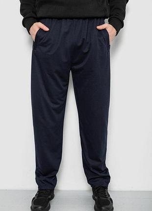 Спортивные штаны мужские, цвет синий, 244r41399 7xl, 62, 7xl