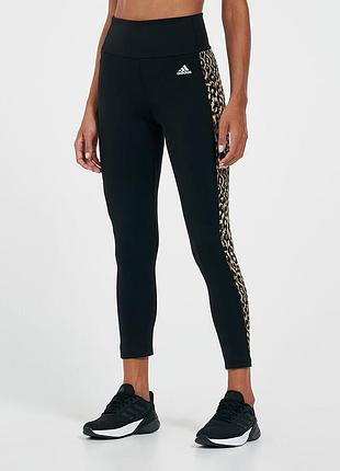 Спортивні лосіни adidas
