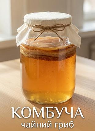 Камбуча - живой эликсир здоровья! 🍄✨