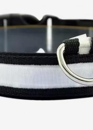 Нашийник для собак, білий нейлоновий з usb 2,5 см 37-46 см нашийник. m usb нейлон білий (2,5см37-46см)
