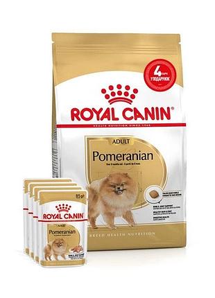 Акція royal canin pomeranian adult корм для дорослих собак породи померанський шпіц 1,5 кг + 4 паучі