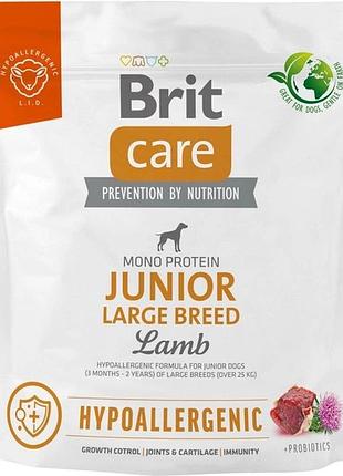 Brit care dog hypoallergenic junior large breed сухой корм для щенков крупных пород гипоаллергенный с ягненком 1 кг