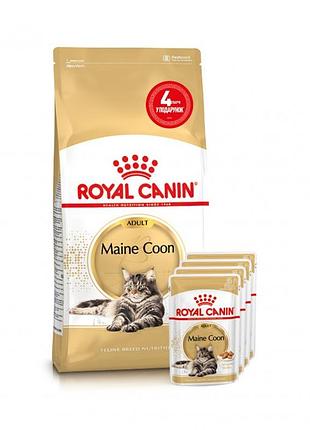 Акция royal canin maine coon adult корм для взрослых кошек мейн-кун 2 кг + 4 пауча