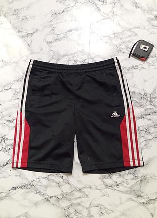 Спортивные шорты adidas