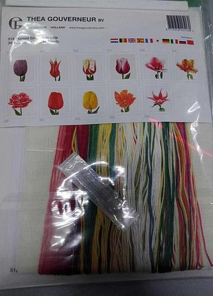 Б/у thea gouverneur 516 flamed single late tulip
