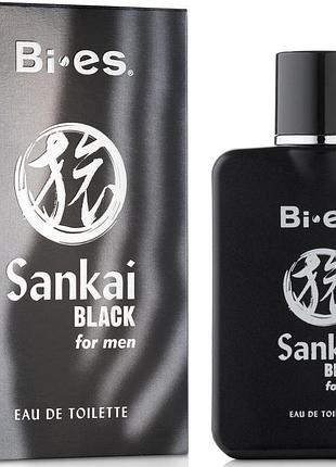 Туалетная вода мужская bi-es sankai black 100 ml