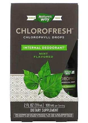 Nature's way chlorofresh chlorophyll drops mint 59 ml (хлорофилл)
