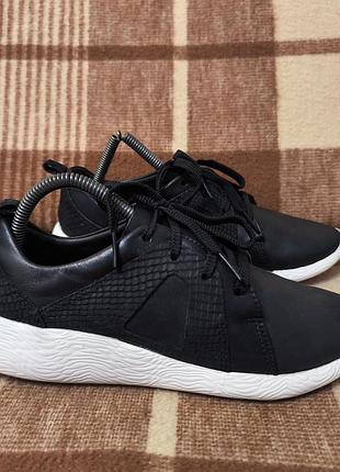 Жіночі кросівки шкіряні clarks