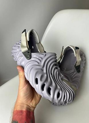 Crocs pollex urchin 3