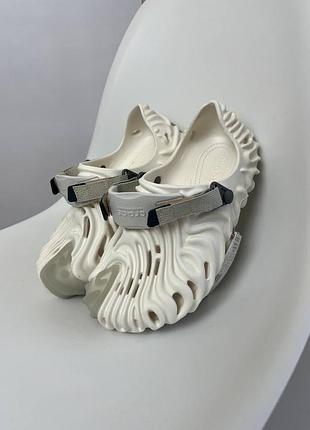Crocs pollex stratus