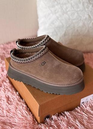 Уггі жіночі ugg угг tazz platform slippers устілка 26 см
