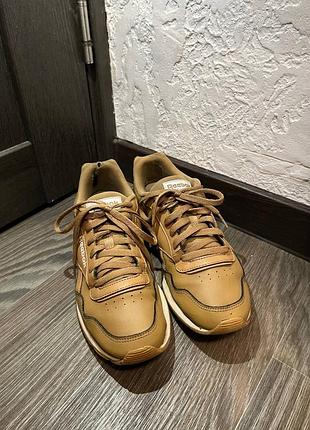 Кросівки reebok (коричневі)