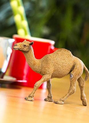 Фигурка safari ltd одногорбый верблюд дромедар, "дикие животные", 15,0*3,5*9,0 см, 222429
