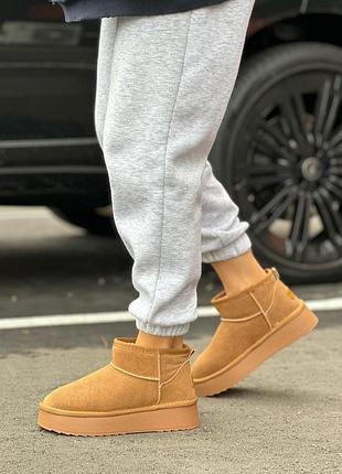 Зимние женские ugg mini низкие замшевые рыжие утепленные с мехом стильные угги мини замша зима