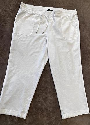 Брюки plus size 4