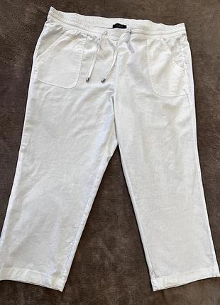 Брюки plus size 3