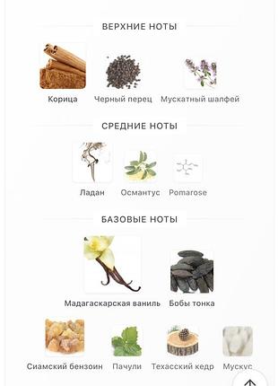 Essential parfums divine vanille 4