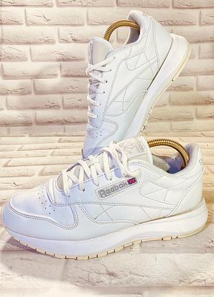 Кросівки reebok