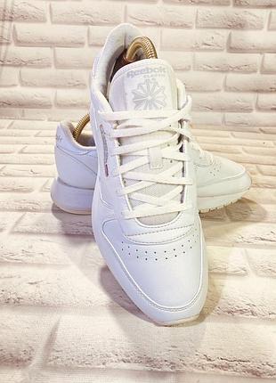 Кросівки reebok 5