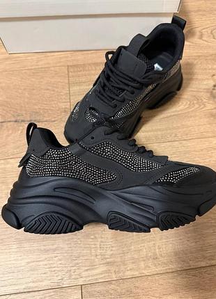 Кросівки жіночі steve madden 2