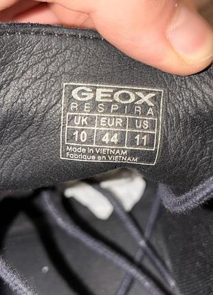 Замшеві черевики geox 5