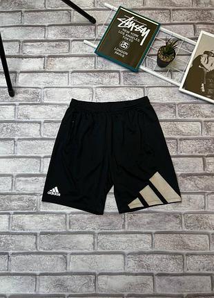 Спортивні шорти adidas