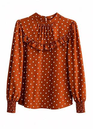 Жіноча блуза dorothy perkins