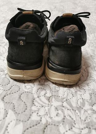 Кроссовки ecco 3