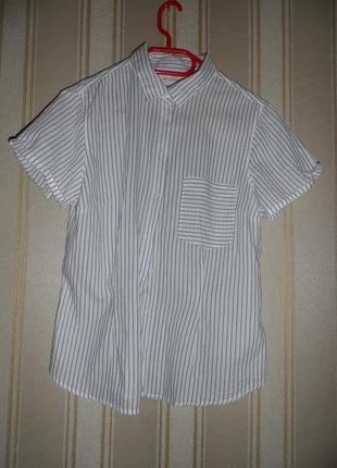 Жіноча сорочка короткий рукав розмір 44// xxl бавовна
