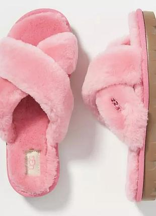 Жіночі шльопанці ugg , слайди fuzette у відтінку лісових ягід