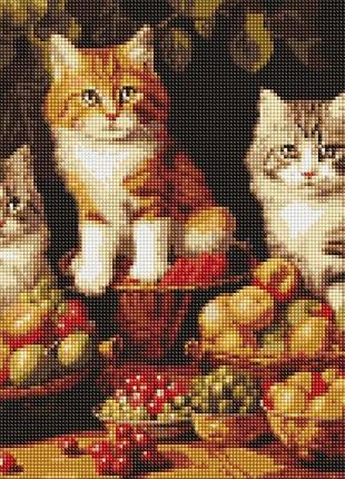 Алмазна мозаїка - котики і фрукти ©art_selena_ua