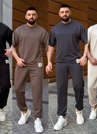 Чоловічий літній спортивний костюм футболка і штани m, l, xl, xxl
