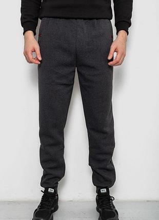 Спортивные штаны мужские на флисе, цвет серый, 244r41526 xxxl, 54, xxxl