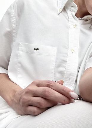 Сорочка lacoste,оригінал