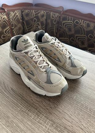 Кросівки adidas чоловічі