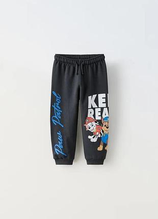 Zara джогери paw patrol щенячий патруль