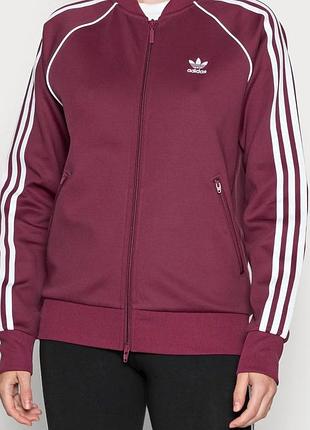 Олімпійка adidas.
