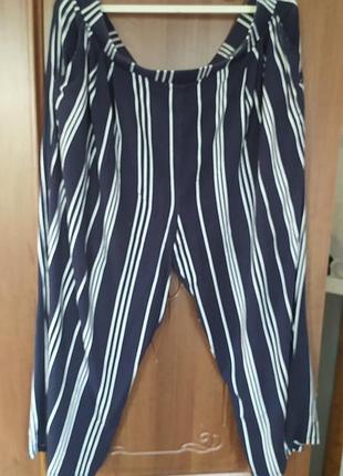 Бріджи великий розмір