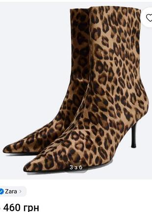 Леопардовые ботильоны zara