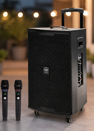 Караоке-колонкаskic t2 pro + 2 микрофона.