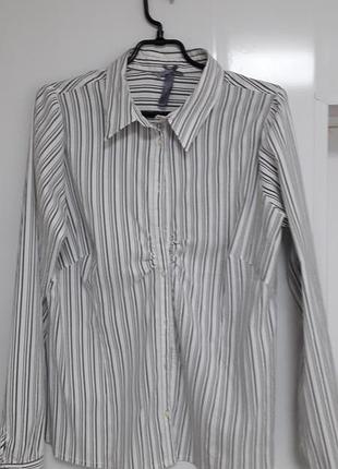 Via appia
40/xl/50
стильна жіноча бавовняна блуза з довгими рукавами на гудзиках та застібаеться на ґудзики по всій довжині 
ідеальний стан ( нова)